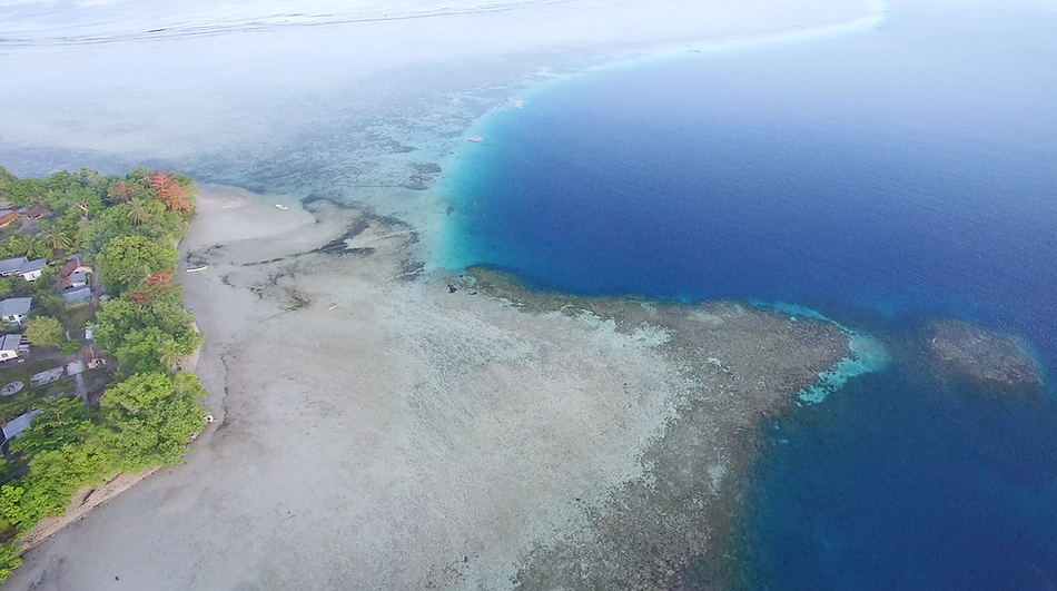 Screen Shot 2019-01-11 at 10.03.03 AM.pn